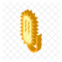 Vibrio Cholerae Isometric Icon