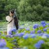 繍球花と美女と漢服・のつもりでした・上海世紀公園ポートレート撮影