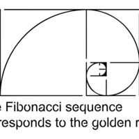 『フィボナッチ数列と黄金比について(*^-^*)デザインするなら要チェック♪』