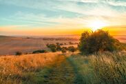 england harvests yield rainfall farming