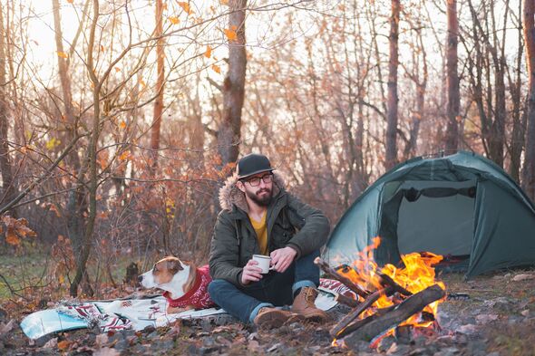 terrifying-sound-woke-up-wild-camper