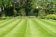 winter lawn care tips gardening expert