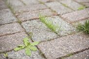 how to remove weeds patios for good