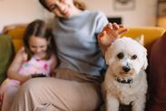 vet top 5 dog breeds families kids