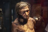 archaeology breakthrough Neanderthal extinction mystery 