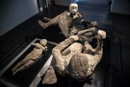 truth behind pompeii victims new dna analysis