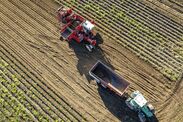 artificial intelligence crops farming