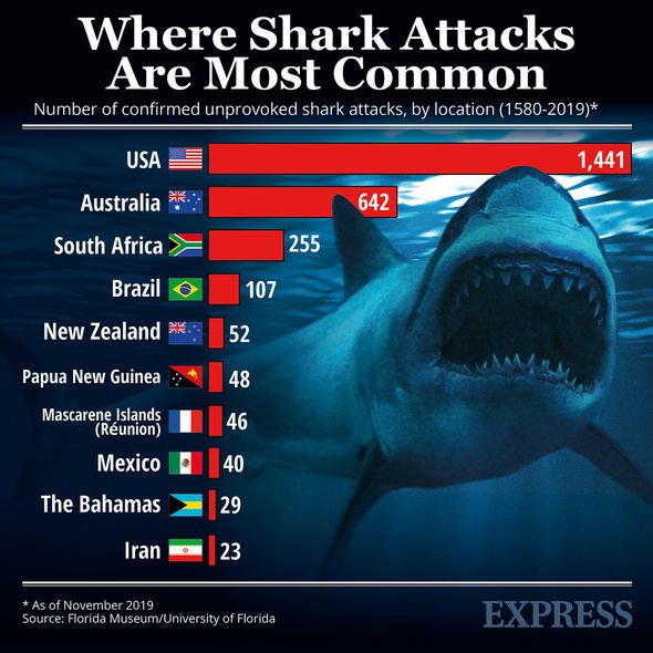 Great white shark 'heading towards the UK' Can great whites survive in ...