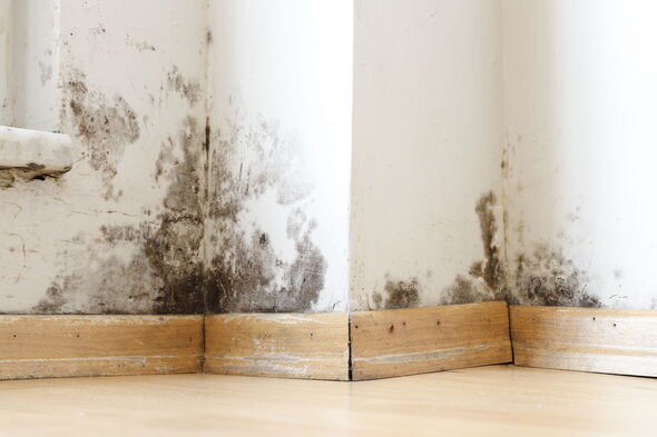 Damp buildings damaged by black mould and fungus, dampness or water.