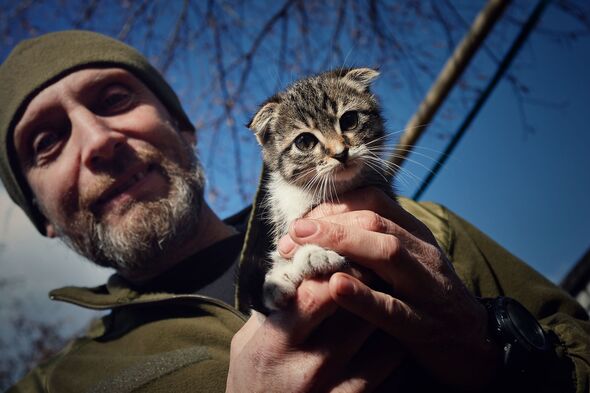 russia army booby traps cat noises