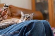 cats toxic traits revealed