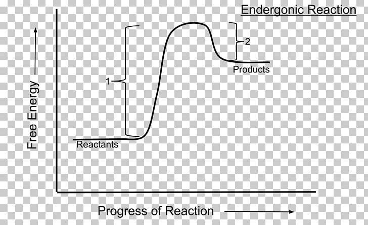 Endergonic Reaction Activation Energy Chemical Reaction Photosynthesis PNG, Clipart, Activation Energy, Angle, Area, Black And White, Brand Free PNG Download