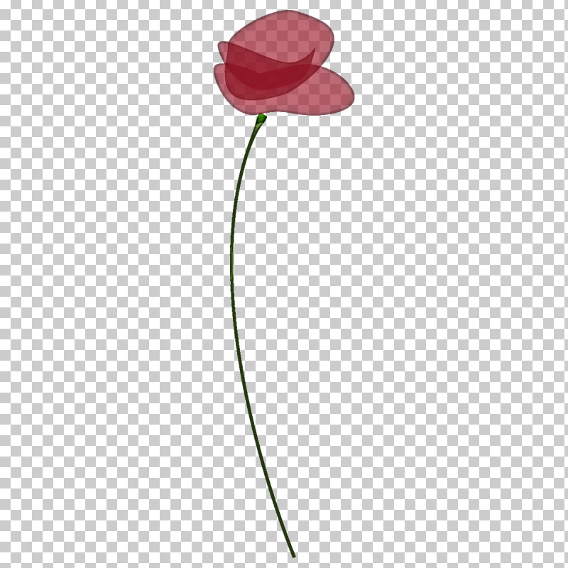 Poppy Flower PNG, Clipart, Anthurium, Flower, Pedicel, Petal, Pink Free PNG Download