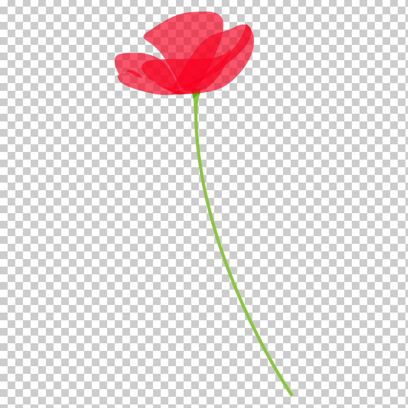 Poppy Flower PNG, Clipart, Coquelicot, Flower, Pedicel, Petal, Plant Free PNG Download