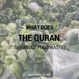 what does the quran say about food waste?