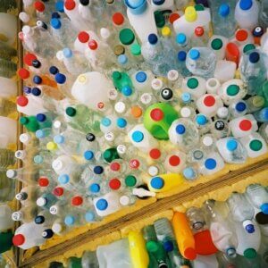 plastic bottles