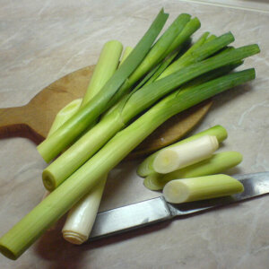 leeks cut with knife