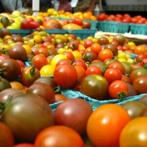 lots of cherry tomatoes