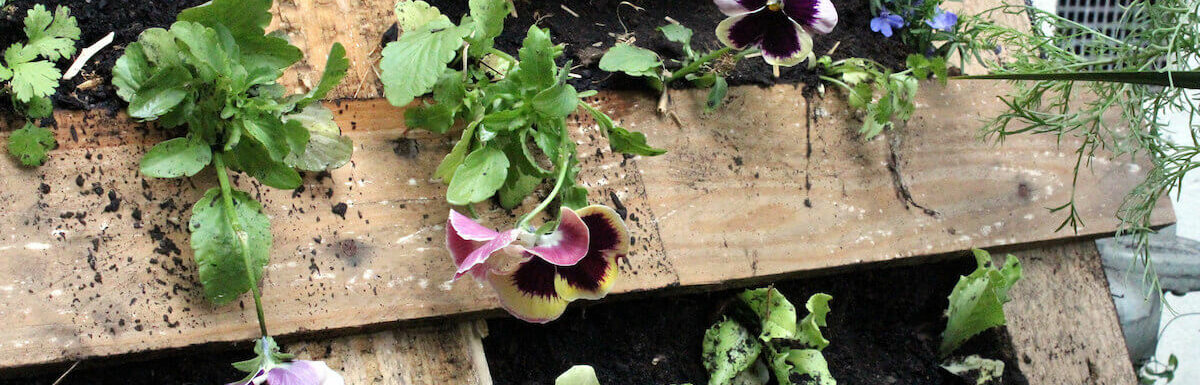 pallet garden with flowers