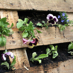 pallet garden with flowers