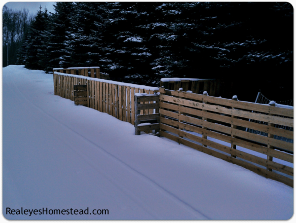 pallet fence