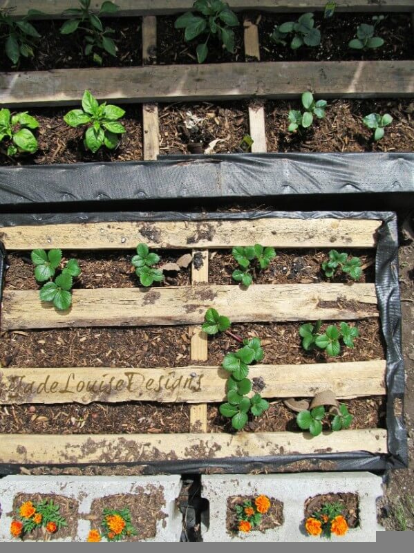 Pallet Garden