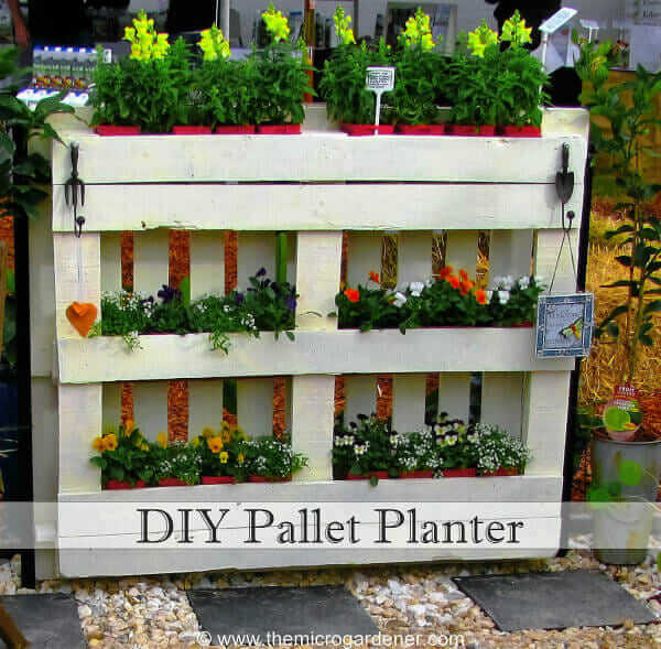 Pallet Planter