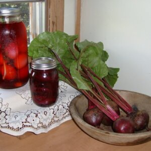 beets, pickled beets