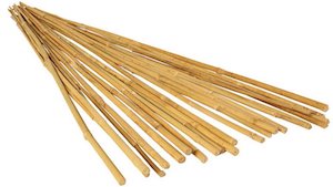 bamboo tomato stakes