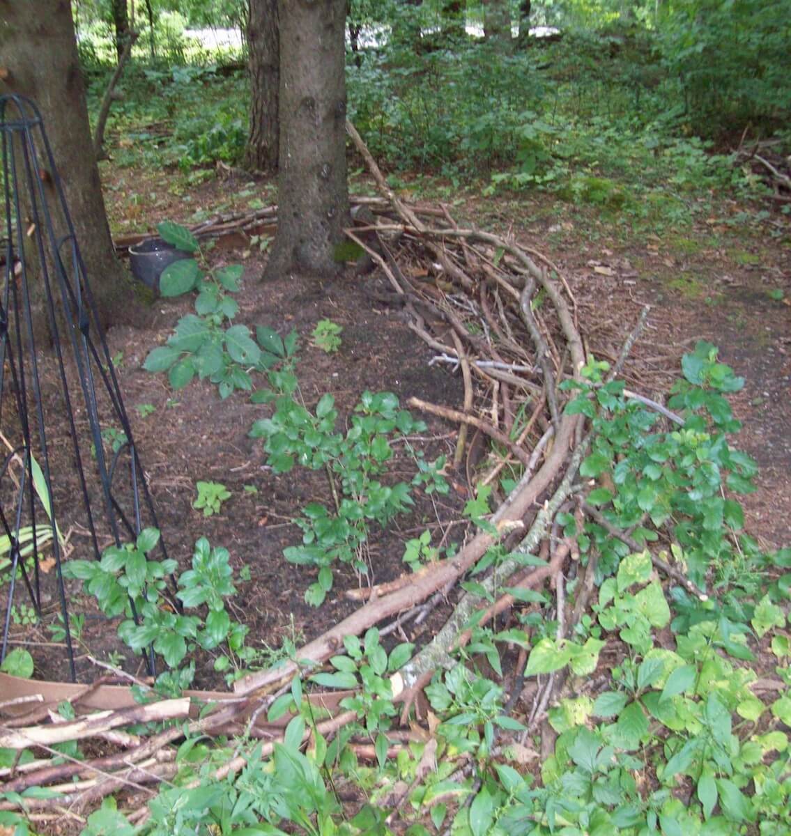 fallen branch garden edging