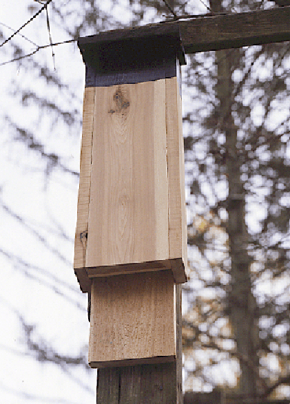 one section bat house plans