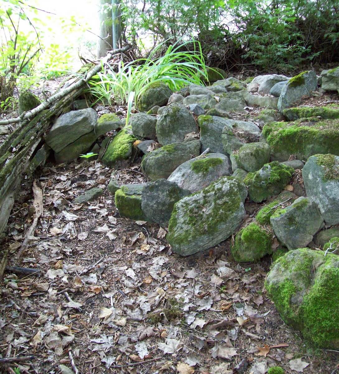 rock garden and edging