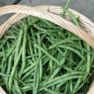 green beans