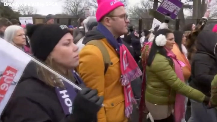 Anti-Trump protesters rally for national issues before presidential inauguration