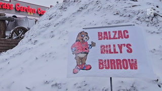 Alberta's own Balzac Billy makes his prediction in frigid temperatures