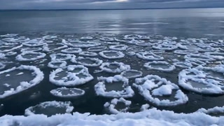 Ice pancakes are popping up in Canadian waters, here's why they happen