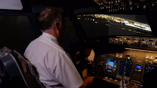 Flight simulator recreates final moments of DC crash aircraft