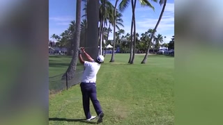 Golfer hits spectator with driver after launching it into crowd