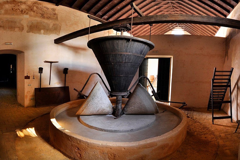 An antique olive oil press