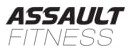 Partner Assault Fitness | KingsBox