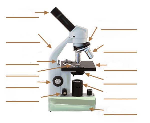 microscope label parts questions