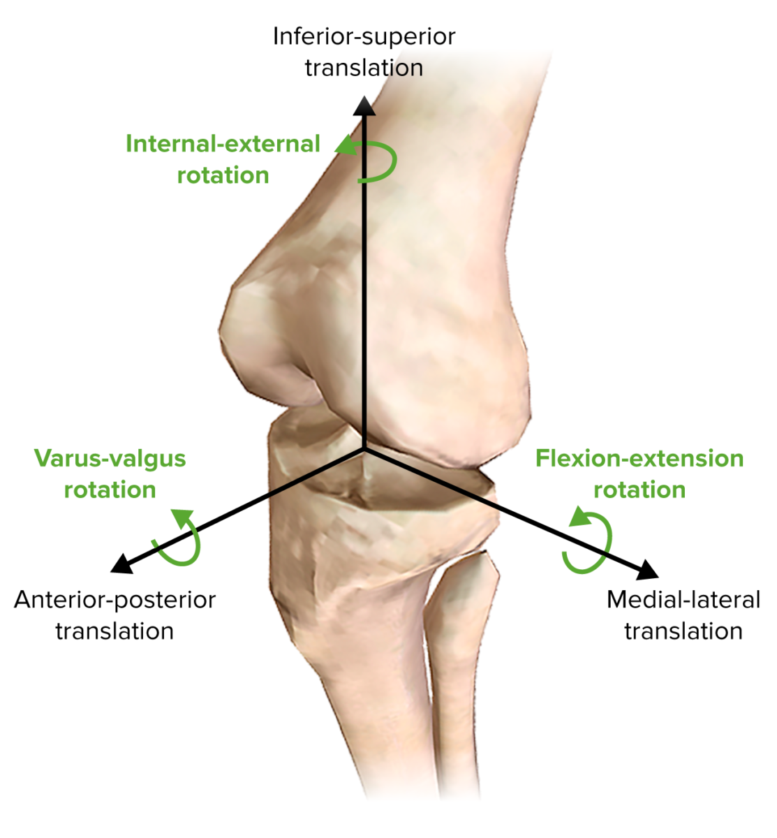 Movimientos de la rodilla