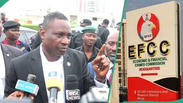 Knocks as ex-Buhari's aide mentions alleged reason EFCC doesn't arrest "Yahoo Boys" in North