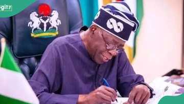 Breaking: Tinubu appoints new accountant general of federation, details emerge