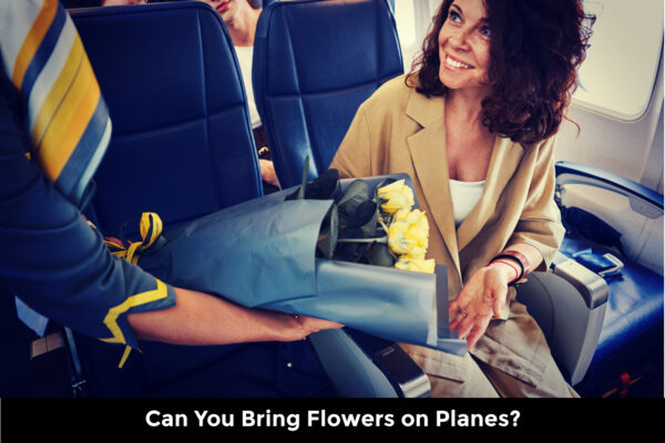 Can You Bring Flowers on Planes?