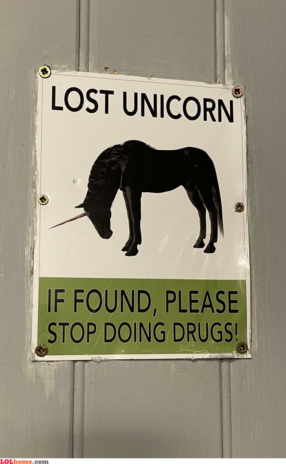 Found Unicorn