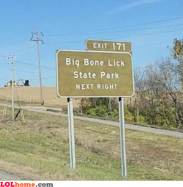 Big Bone Lick