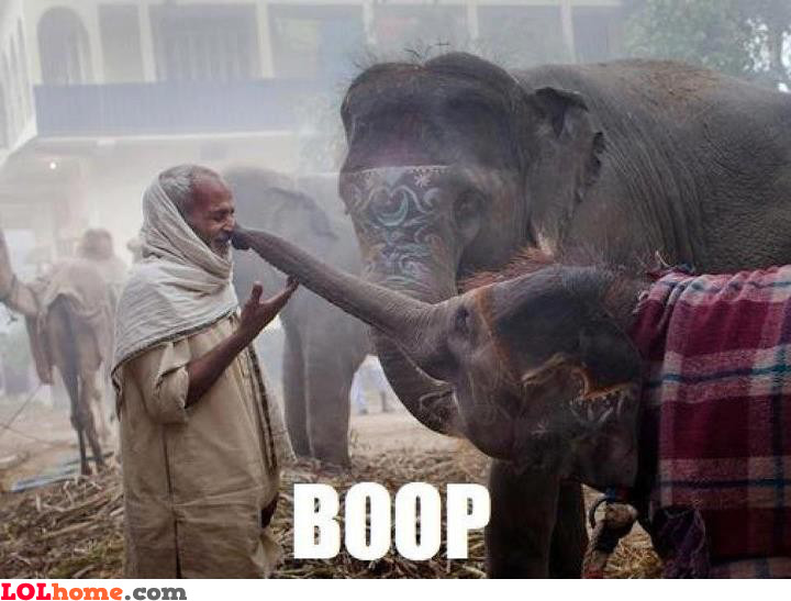 Boop!