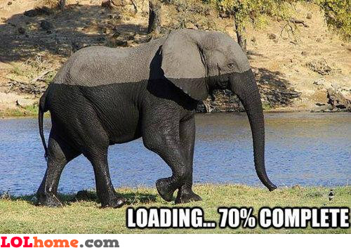 Loading