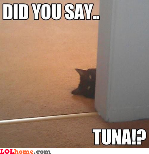 Tuna?